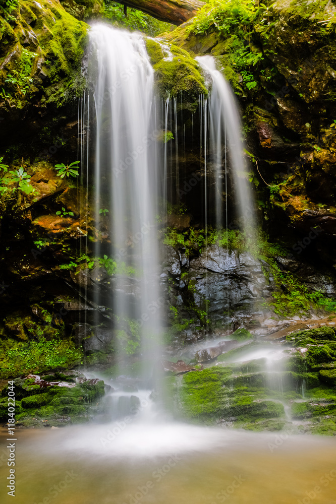 A waterfall is shown in a lush green forest A waterfall is shown in a lush green forest