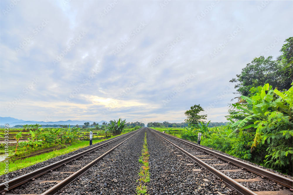 Fototapeta premium Railway Tracks Across Green Rice Fields on a Sunny Morning. Two-Way Railway Across Vibrant Fields at Sunrise