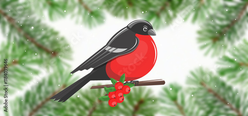 Vector cartoon graphic bird bullfinch with red belly, sitting on branch with forest berries, against background of blurred coniferous fir branches
