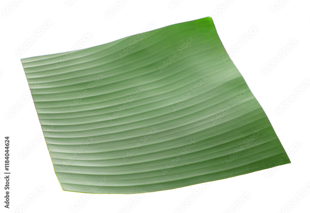 Piece of banana leaf isolated on white. Traditional meal serving Piece of banana leaf isolated on white. Traditional meal serving