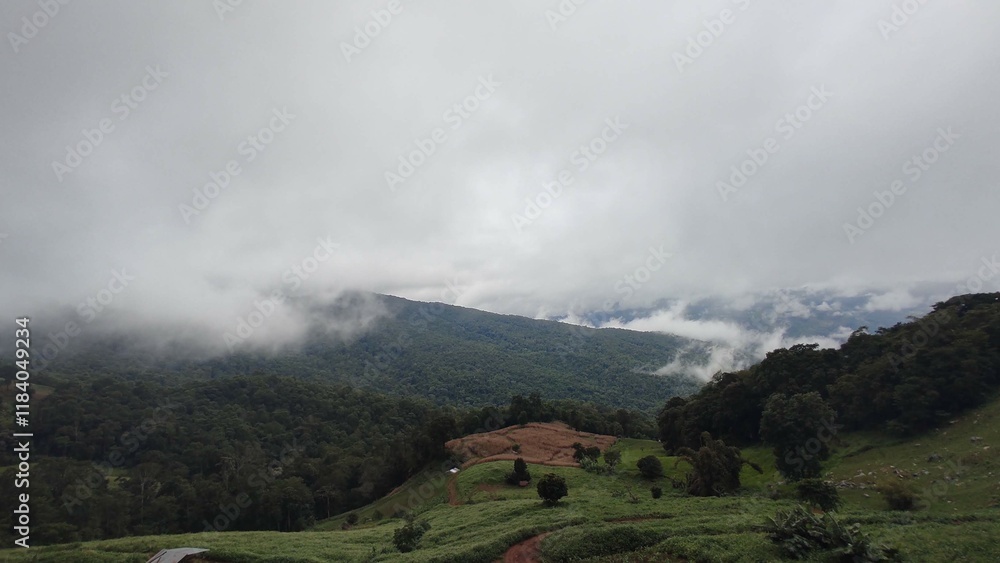 Fototapeta premium Mystical Mountains in the Mist