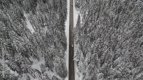 Drone flying over pine tree covered with snow and asphalt road