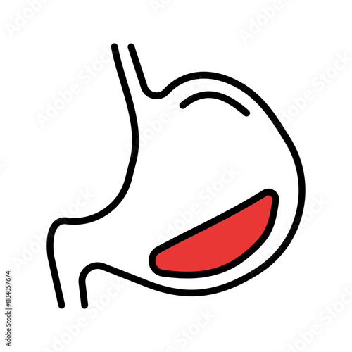 Stomach Icon Design