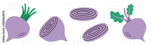 Flat-style illustration set of beets and beet slices in various cuts and angles. Purple roots with green leaves, perfect for food, farming, and healthy diet designs.