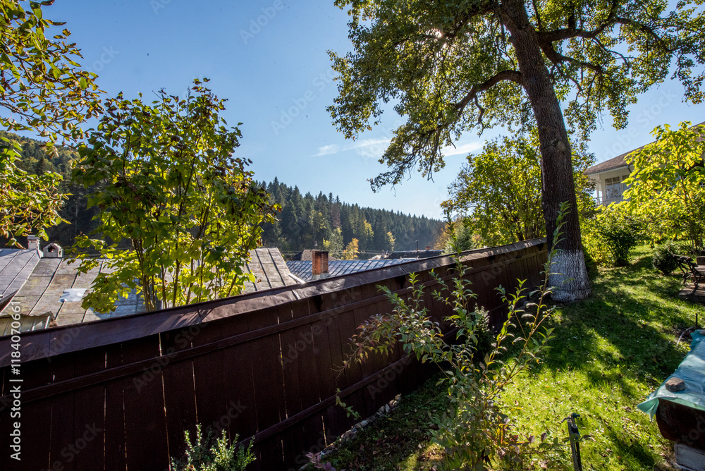 Fototapeta premium bridge over the river