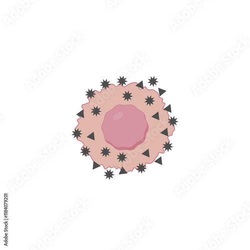 Oxidative stress. Free radicals cause oxidation of the cellular membrane proteins and lipids, and damage of the cellular components. Vector scientific illustration.