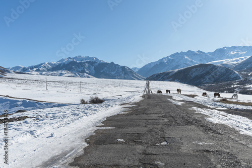 Winter road in mountain valley disappearing into horizon. Winter local travel. photo