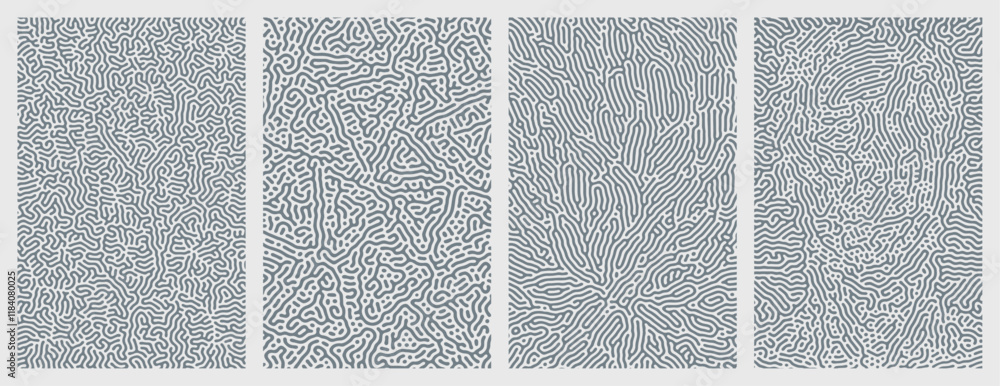 Fototapeta premium A collection of organic Turing abstract line patterns background design