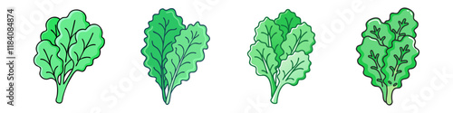 kale vector icon, vegetables vector illustration - simple illustration of kale perfect for logos, and vegetables-themed designs.