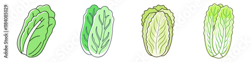 napa cabbage vector icon, vegetables vector illustration - simple illustration of napa cabbage perfect for logos, and vegetables-themed designs.