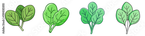 baby spinach vector icon, vegetables vector illustration - simple illustration of baby spinach perfect for logos, and vegetables-themed designs.