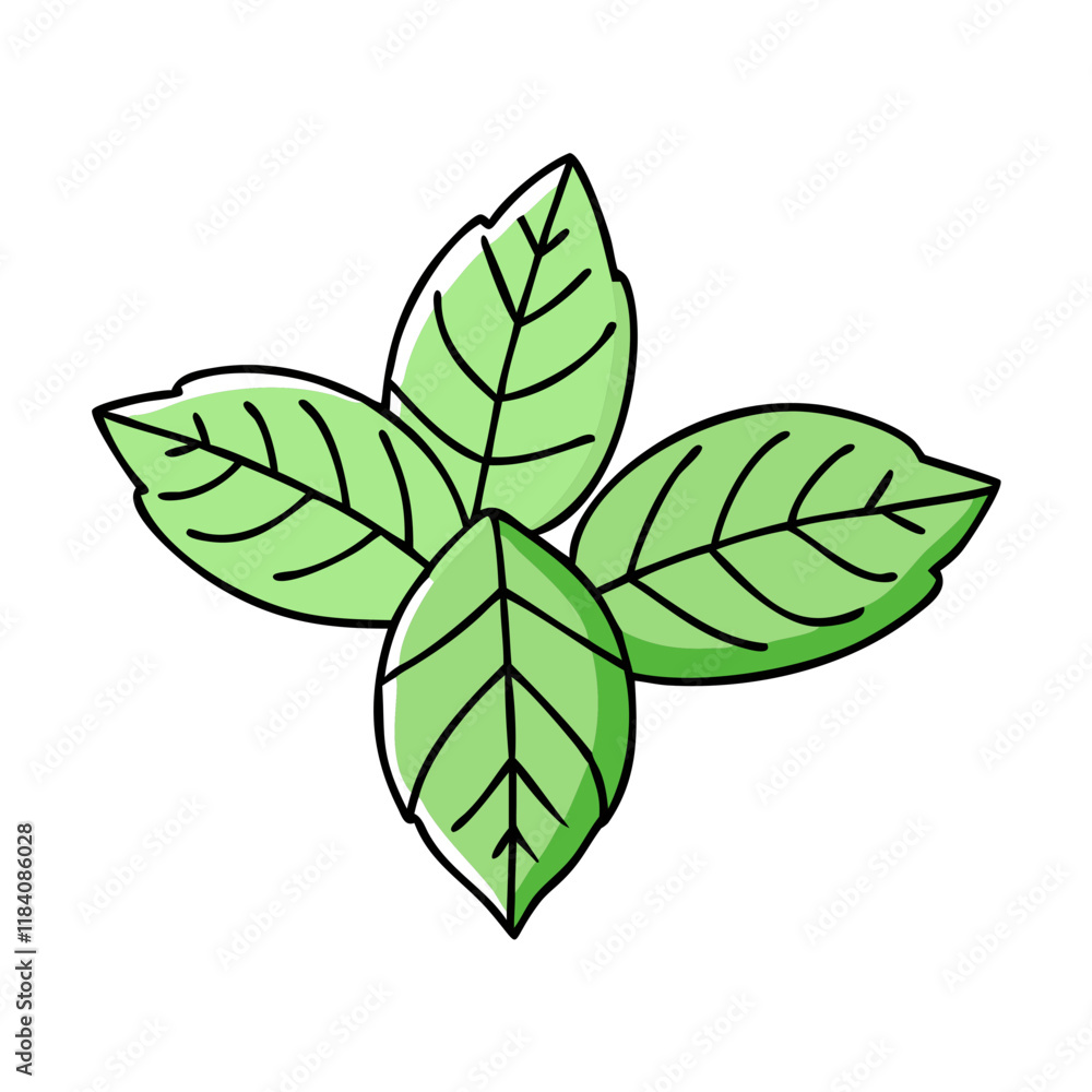 basil leaves vector icon, vegetables vector illustration - simple illustration of basil leaves perfect for logos, and vegetables-themed designs. basil leaves vector icon, vegetables vector illustration - simple illustration of basil leaves perfect for logos, and vegetables-themed designs.