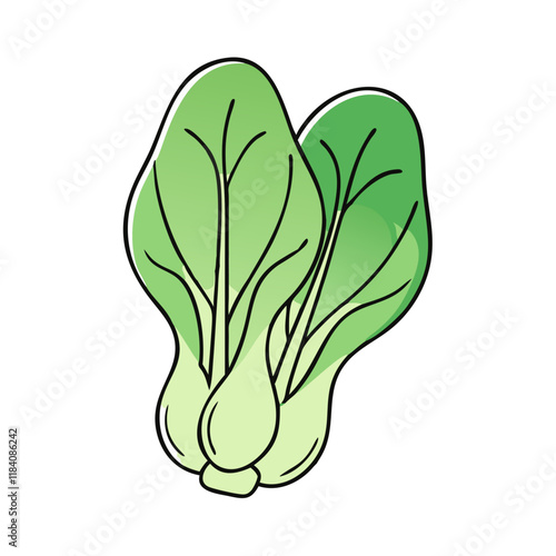 bok choy vector icon, vegetables vector illustration - simple illustration of bok choy perfect for logos, and vegetables-themed designs.