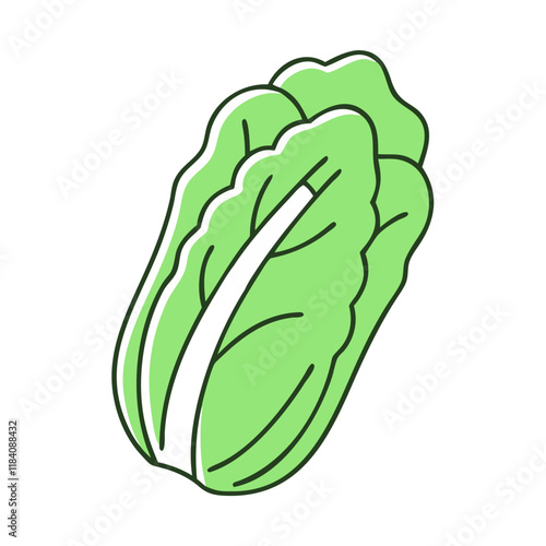 napa cabbage vector icon, vegetables vector illustration - simple illustration of napa cabbage perfect for logos, and vegetables-themed designs.