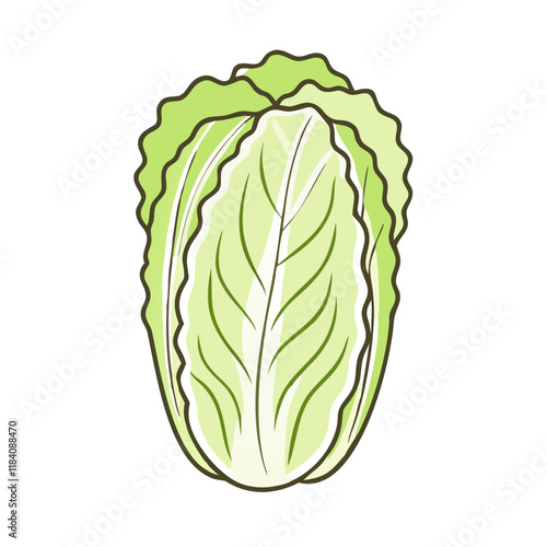 napa cabbage vector icon, vegetables vector illustration - simple illustration of napa cabbage perfect for logos, and vegetables-themed designs.