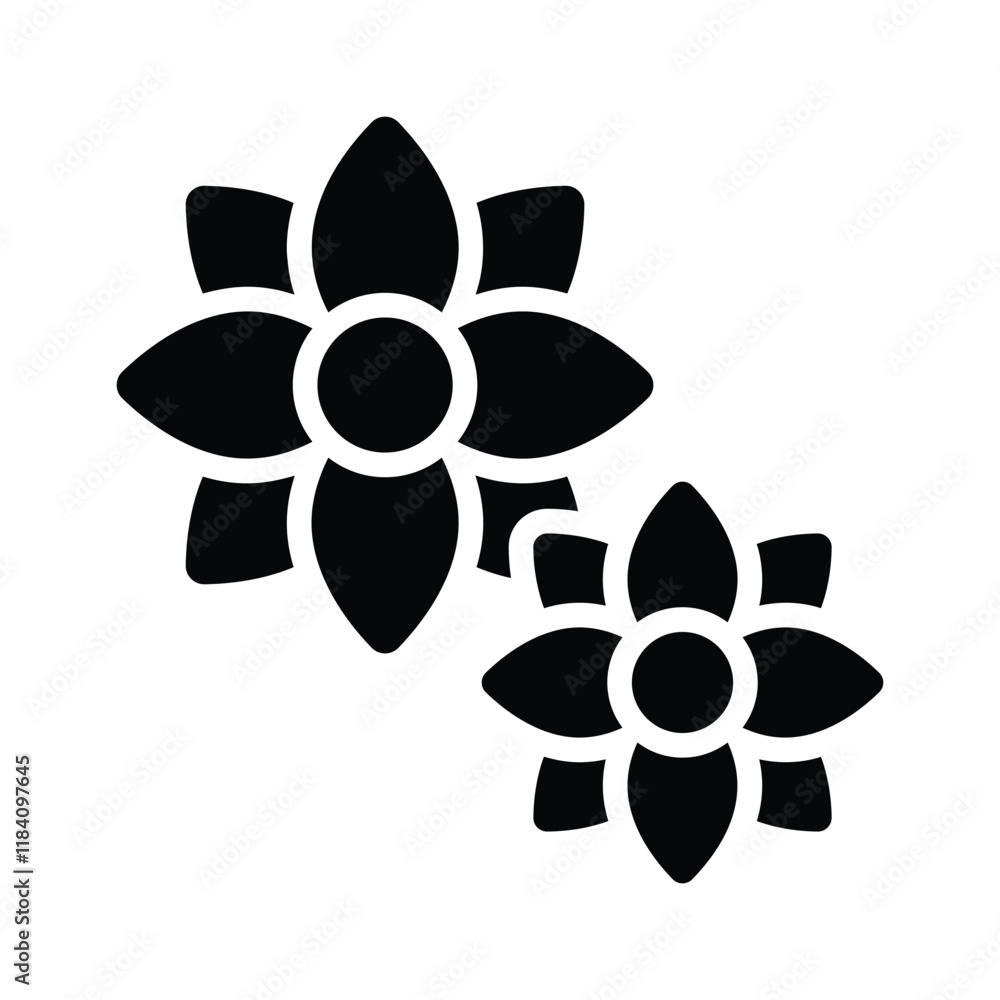 Motia flower represents a calming and fragrant therapy experience Motia flower represents a calming and fragrant therapy experience