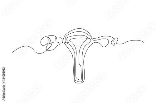 Human uterus organ in continuous one line drawing. Editable vector.