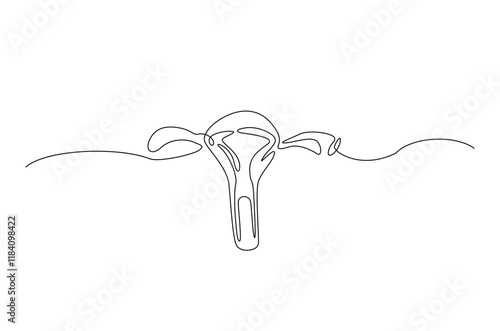 Human uterus organ in continuous one line drawing. Editable vector.