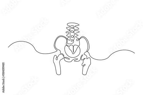 Human pelvic bone in continuous one line drawing. Anatomical structure. Editable vector.