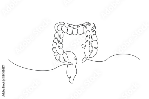 Human organ digestive in continuous one line drawing. Editable vector.