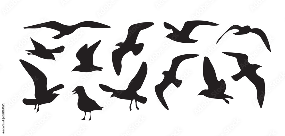 bird silhouette vector illustration,Modern trendy abstract fowl sparrow, dove pigeon figure illustration. bird silhouette vector illustration,Modern trendy abstract fowl sparrow, dove pigeon figure illustration.