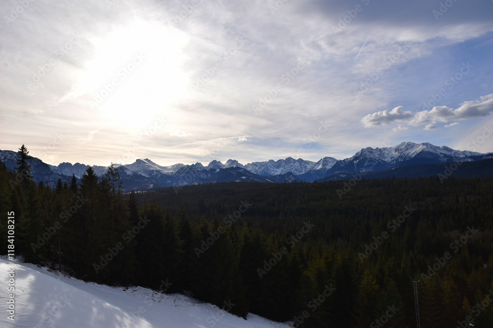 Snow-capped High Tatras peaks rise above a vast, lush green forest, creating a breathtaking contrast between the icy European mountain tops and the dense woodlands below. Untouched mountain panorama. Snow-capped High Tatras peaks rise above a vast, lush green forest, creating a breathtaking contrast between the icy European mountain tops and the dense woodlands below. Untouched mountain panorama.