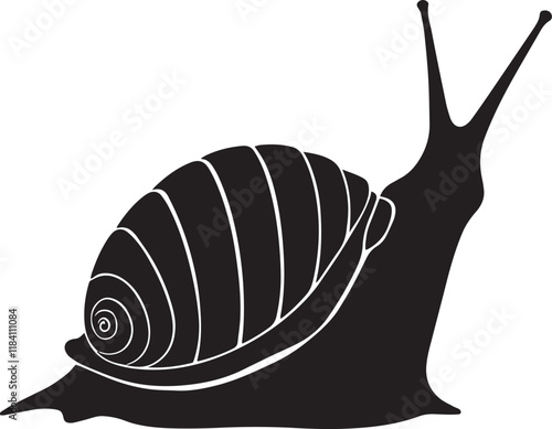 Sea snail silhouette black vector illustration on white background.