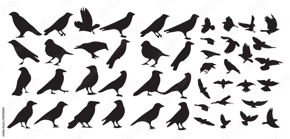 silhouettes of birds vector.bird silhouette vector illustration, perfect for logo design, art projects, and graphic design. silhouettes of birds vector.bird silhouette vector illustration, perfect for logo design, art projects, and graphic design.