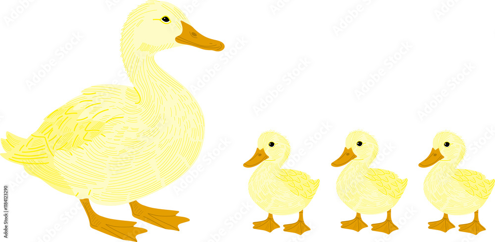 duck and ducklings duck and ducklings