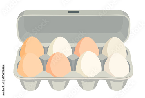 Eggs in packaging. Open egg box. Vector isolated illustration
