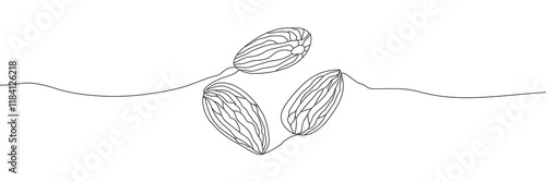 Almond nut outline style vector illustration. Healthy organic food, ingredient