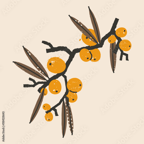 Textured sea buckthorn branch. Botanical stylish illustration. Vector print, postcard, design element