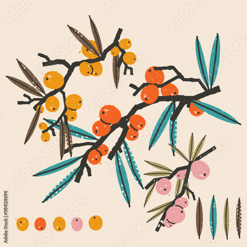 Texture set with sea buckthorn branches. Botanical stylish illustration. Vector print, postcard, design elements
