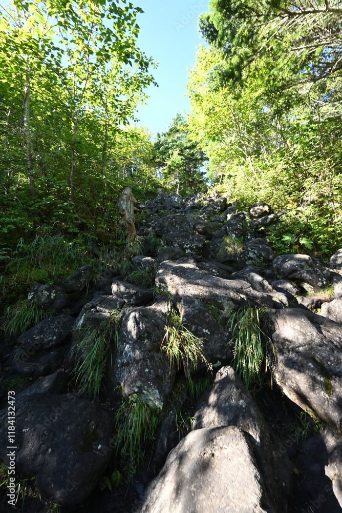 Fototapeta premium Climbing Mt. Tateshina, Nagano, Japan