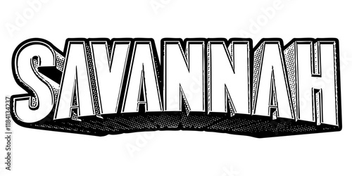 ‘Savannah’ written in three-dimensional one-point perspective retro extruded block letters with grainy vintage halftone texture