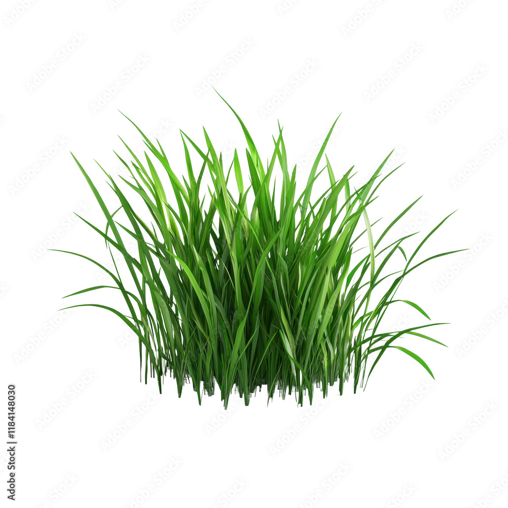 Obraz premium Lush green grass clump on a transparent background