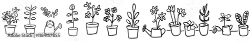 Art set featuring hand-drawn pots with indoor plants, perfect for coloring