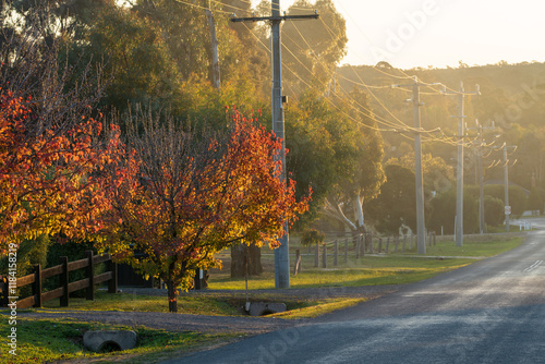 Hazy afternoon light shining up a country road lined with power poles and trees in autumn colours