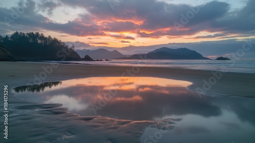 Wallpaper Mural Sunset sky reflecting on a shallow tide pool near the shoreline. Torontodigital.ca