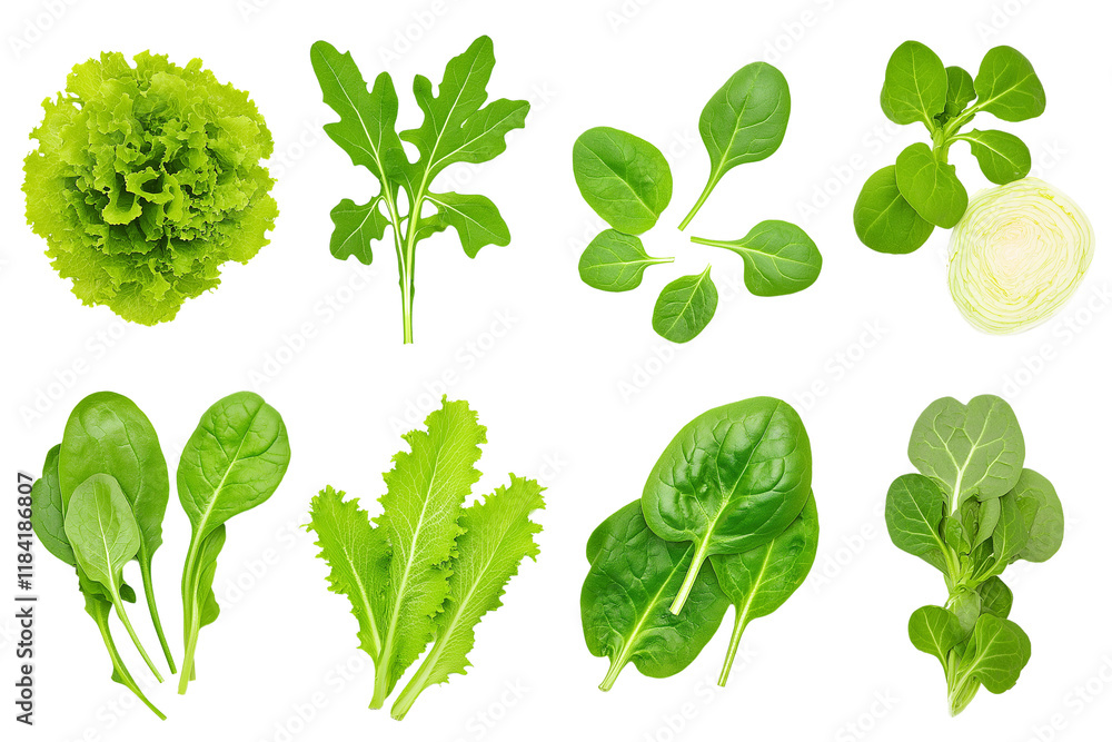 Assorted salad greens with curly lettuce, romaine, and baby spinach, floating on a white background, isolated with clipping path, ultra-clear textures, and perfect lighting Assorted salad greens with curly lettuce, romaine, and baby spinach, floating on a white background, isolated with clipping path, ultra-clear textures, and perfect lighting