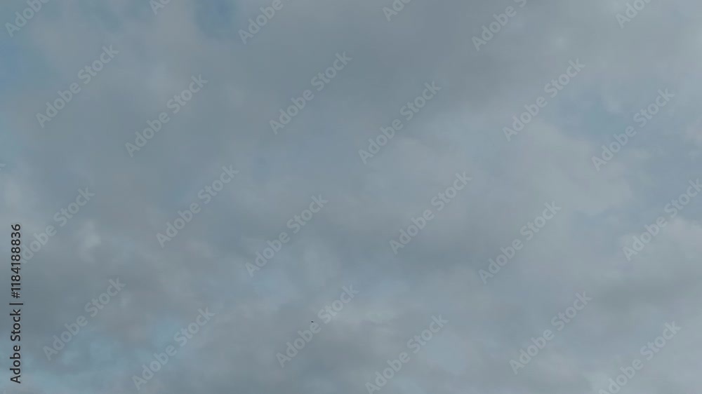 Blue sky white clouds. Puffy fluffy white clouds. Cumulus cloud cloudscape timelapse. Rainy season blue sky time lapse. Nature weather blue sky. Cloud time lapse Blue sky white clouds. Puffy fluffy white clouds. Cumulus cloud cloudscape timelapse. Rainy season blue sky time lapse. Nature weather blue sky. Cloud time lapse