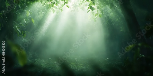 Wallpaper Mural Shimmering sunlight illuminates dense forest nature photography tranquil environment aerial view serenity concept Torontodigital.ca