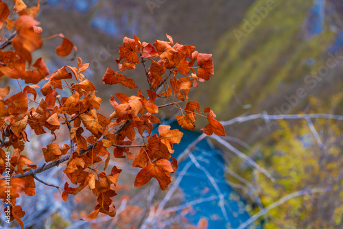 Wallpaper Mural blue mountain river Uvac in autumn canyon, Serbia Torontodigital.ca
