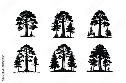 General Sherman Tree (Sequoiadendron giganteum)