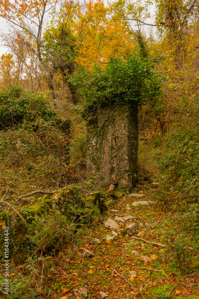 Fototapeta premium Ruined castle walls in the forest