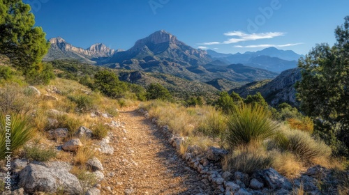 Serene Mountain Trail: A Journey Through Majestic Peaks photo