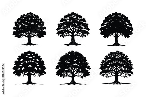 Major Oak (Quercus robur) silhouette vector illustration