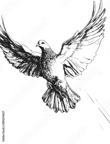 Black and white sketch of a flying dove with outstretched wings.