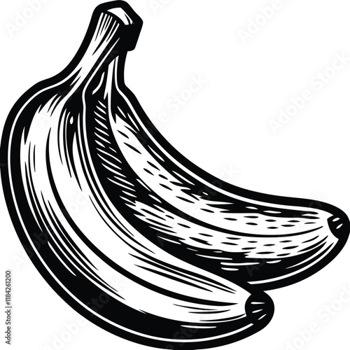 Vintage-Style Black and White Illustration of Bananas