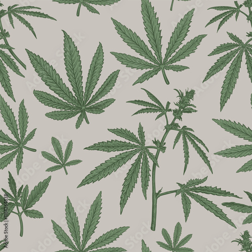 Seamless pattern with hand drawn sketch of Cannabis. Vector illustration of leaves and plant Hemp. Botanical drawing of Medical Marijuana foliage. Vintage engraved style